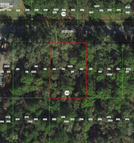 3958 E RYAN STREET, Inverness, FL 34453