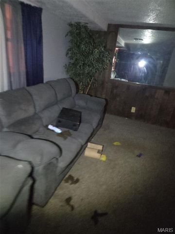 3217 Geitz Avenue, East St Louis, IL 62205