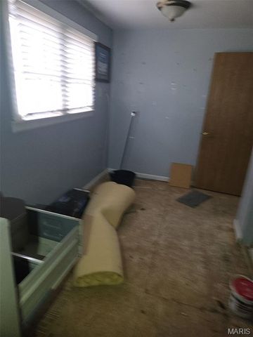 3217 Geitz Avenue, East St Louis, IL 62205