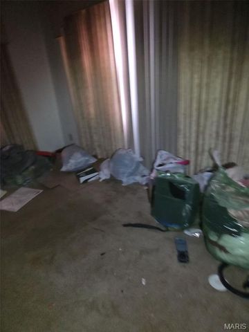 3217 Geitz Avenue, East St Louis, IL 62205