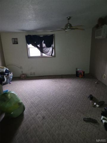 3217 Geitz Avenue, East St Louis, IL 62205