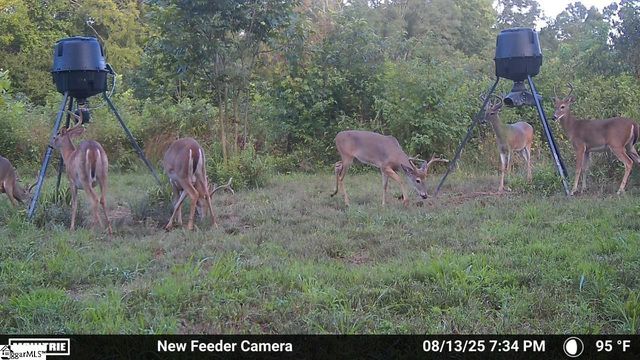 780 Oak Hill Lane, Belton, SC 29627