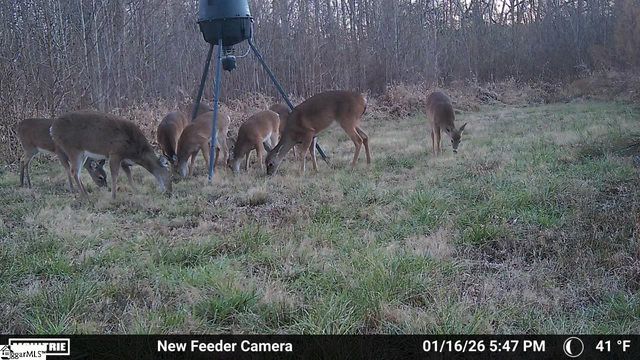 780 Oak Hill Lane, Belton, SC 29627