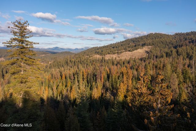 6946 E Burma RD, Harrison, ID 83833