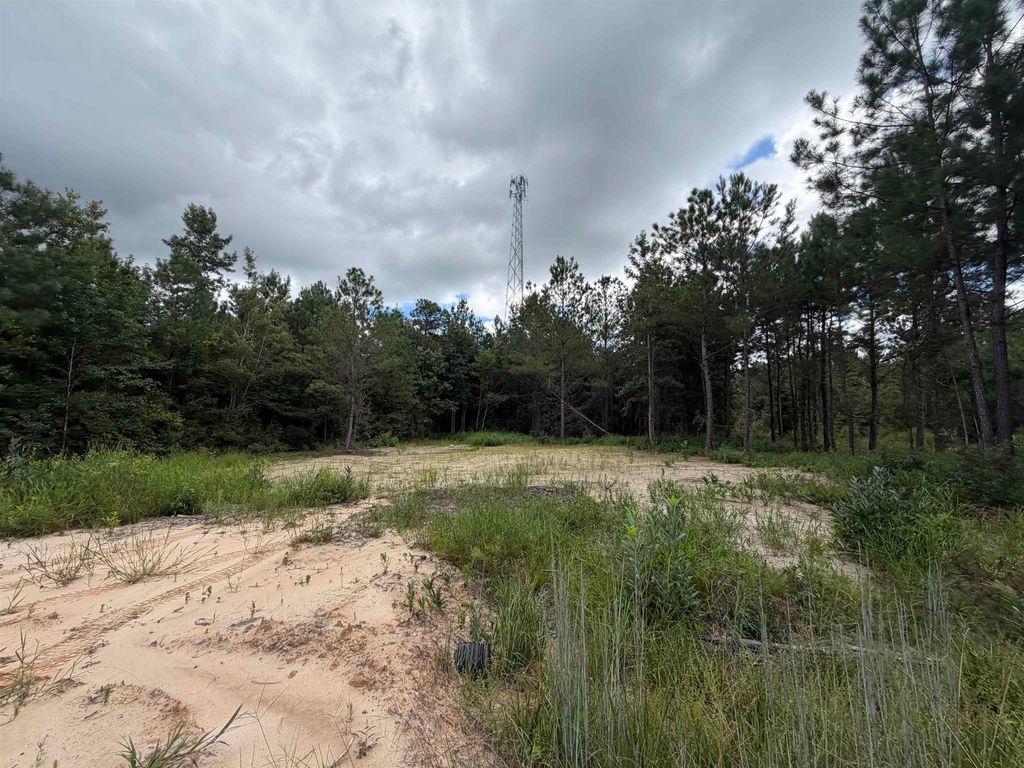 1.25 Acres - N Fraser St., Georgetown, SC 29440 — photo 2