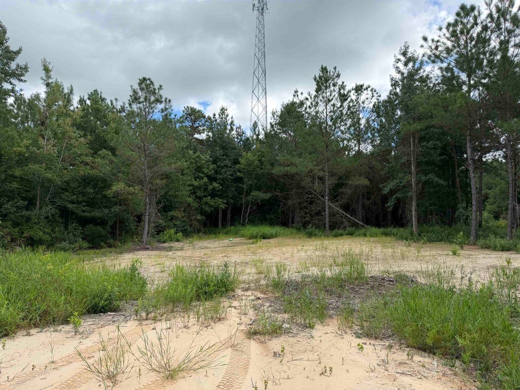 1.25 Acres - N Fraser St., Georgetown, SC 29440 — photo 3