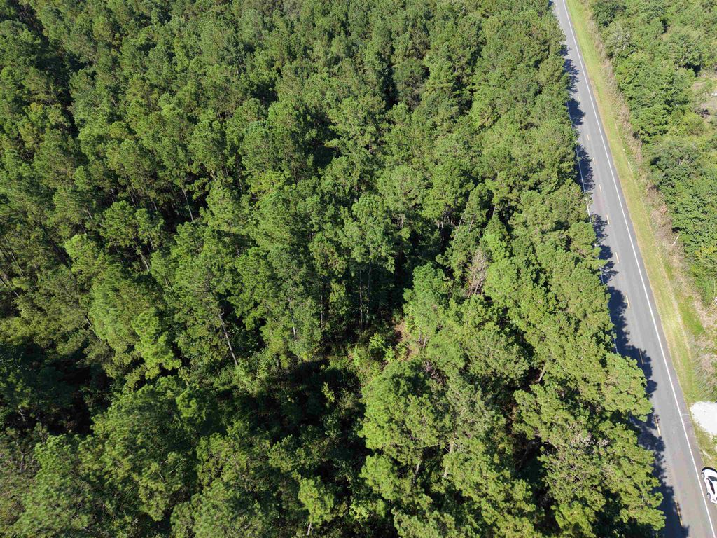 1.25 Acres - N Fraser St., Georgetown, SC 29440 — photo 4