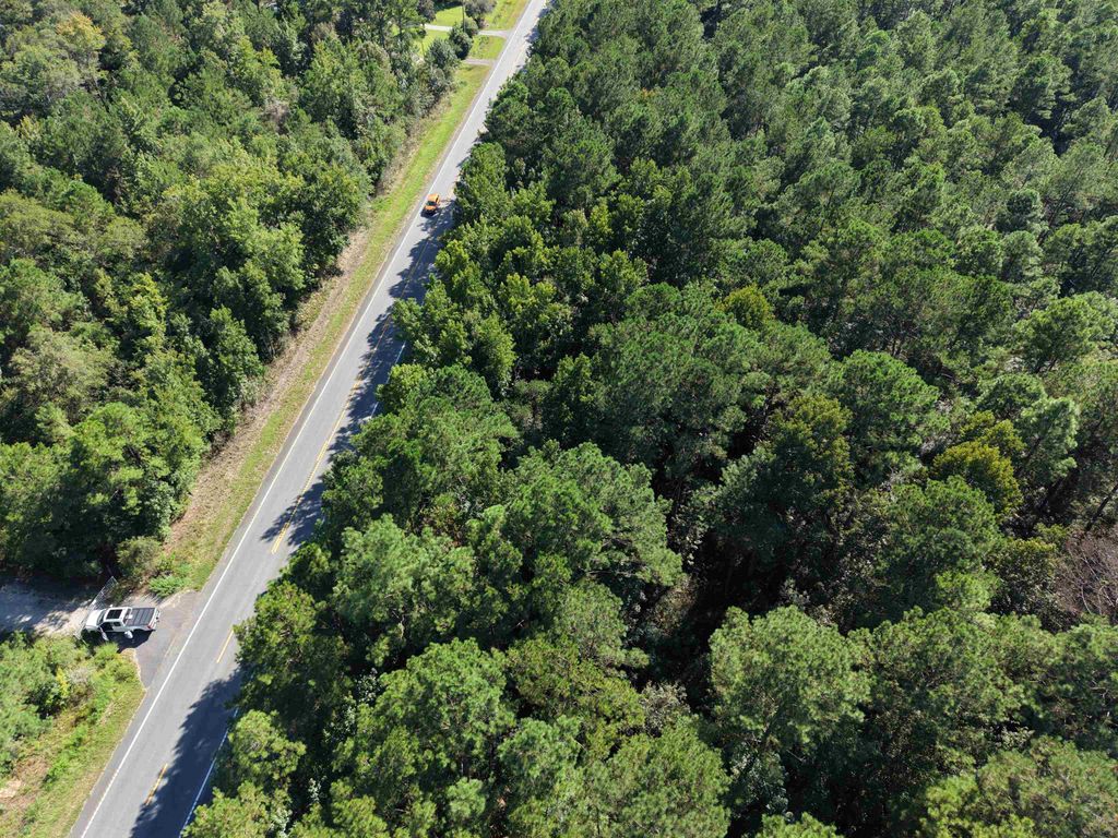 1.25 Acres - N Fraser St., Georgetown, SC 29440 — photo 5