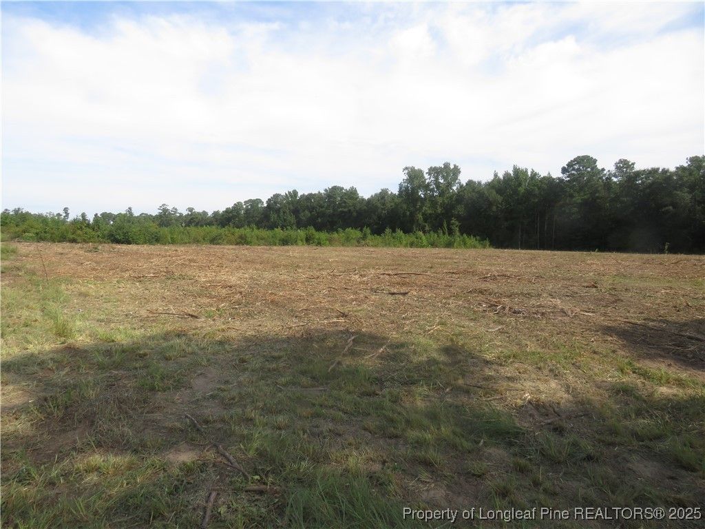 Lot D Survey Drive, Fairmont, NC 28340