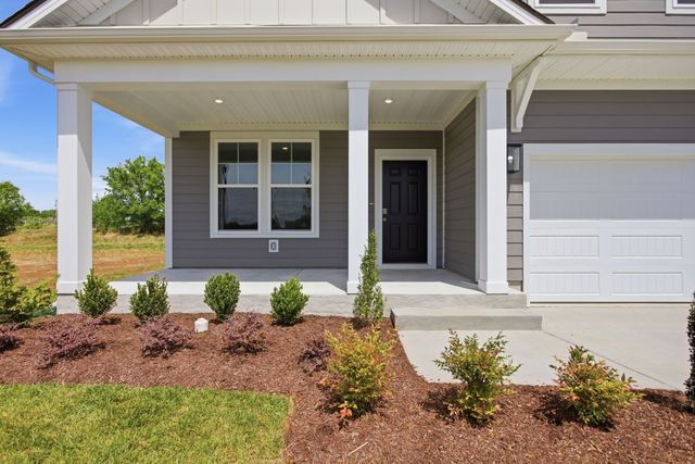 336 Black Bear Drive, Mount Pleasant, TN 38474