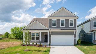 336 Black Bear Drive, Mount Pleasant, TN 38474