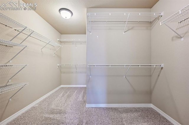 8103 Glory Drive, Colorado Springs, CO 80924