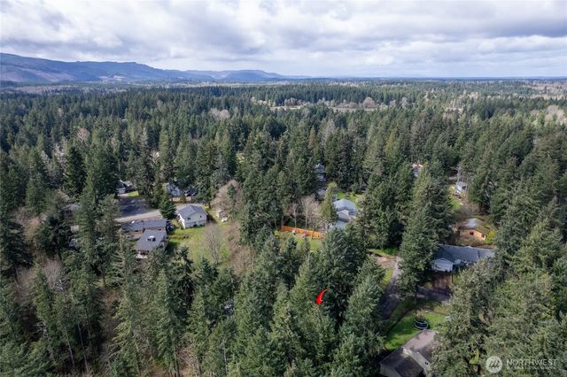 22433 Vale Court SE, Yelm, WA 98597