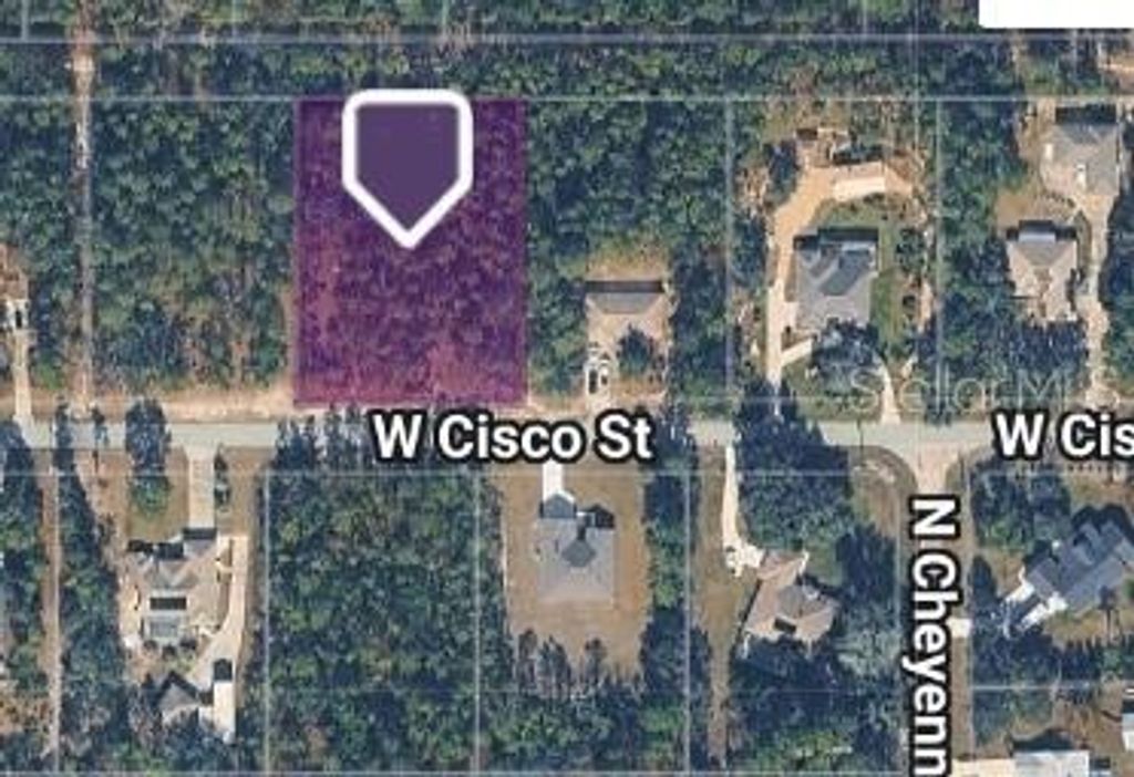 5593 W CISCO STREET, Beverly Hills, FL 34465