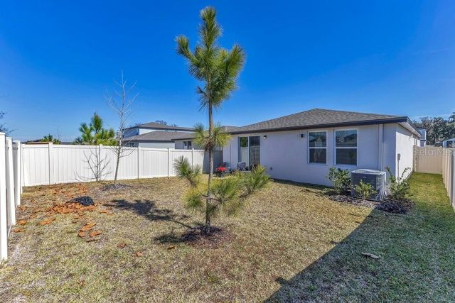 3719 RADIANT MOUNTAIN DRIVE, Plant City, FL 33565