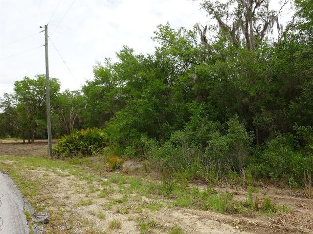 2208 SW Shorewood Drive, Dunnellon, FL 34431