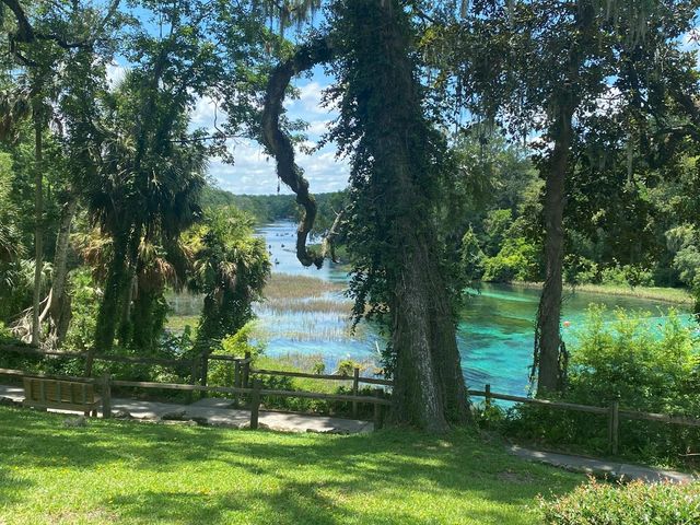 2208 SW Shorewood Drive, Dunnellon, FL 34431