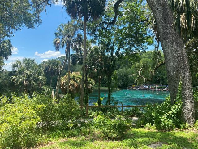 2208 SW Shorewood Drive, Dunnellon, FL 34431