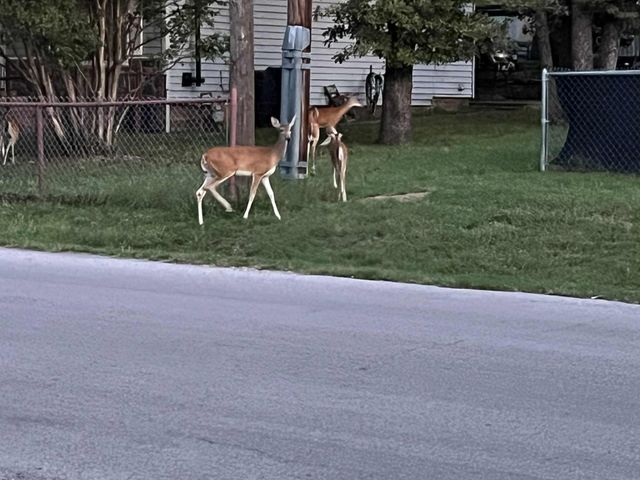 905 Poe Street, Azle, TX 76020