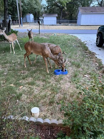 905 Poe Street, Azle, TX 76020