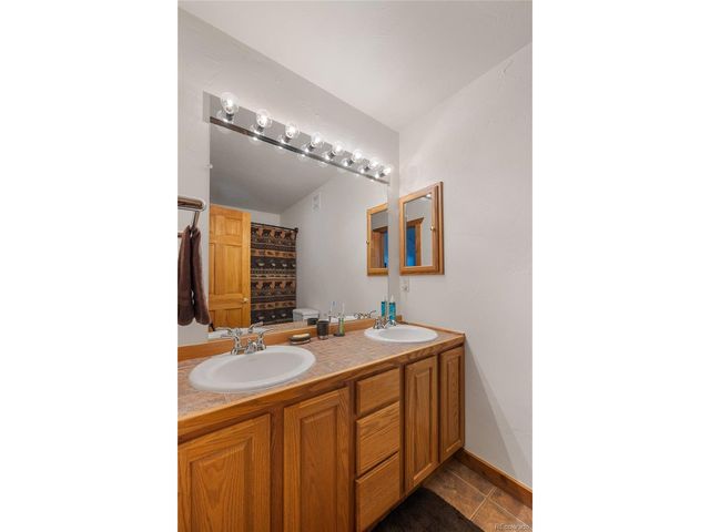 353 Wood Rose Way, Leadville, CO 80461