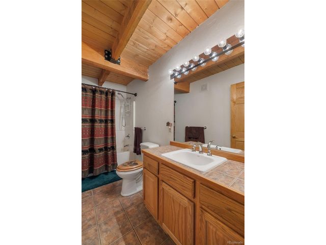 353 Wood Rose Way, Leadville, CO 80461