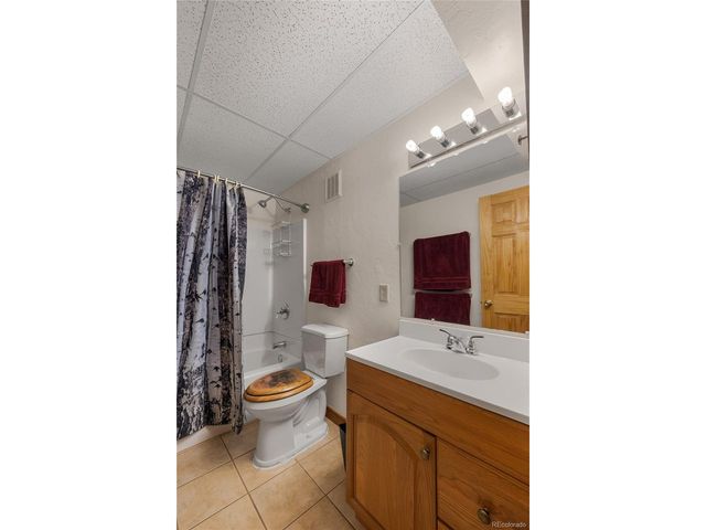 353 Wood Rose Way, Leadville, CO 80461