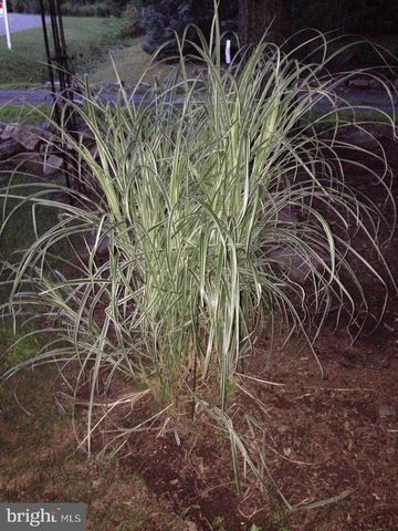 174 & 175 TOTEM DR, Auburn, PA 17922