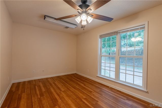 1642 Eastshore Drive, Cottondale, AL 35453