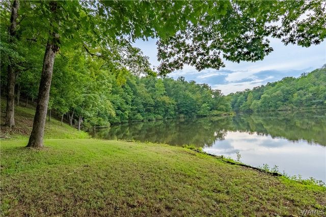 1642 Eastshore Drive, Cottondale, AL 35453