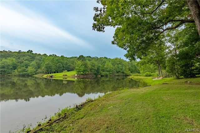 1642 Eastshore Drive, Cottondale, AL 35453
