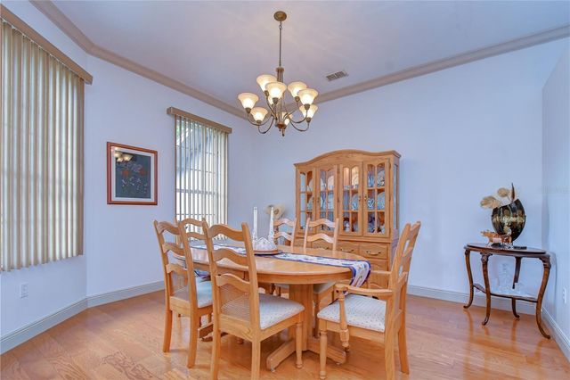 3810 TURKEY OAK DRIVE, Valrico, FL 33596
