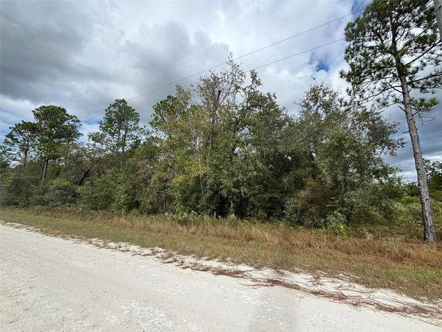 Lot 11 RED MARLIN AVENUE, Weeki Wachee, FL 34614