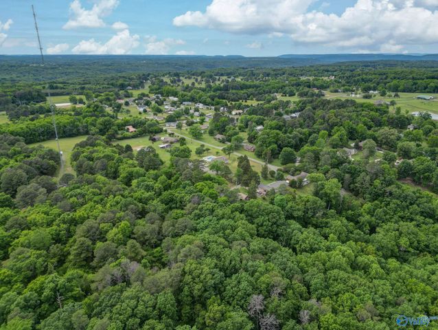 26 Rush Ln, Guntersville, AL 35976
