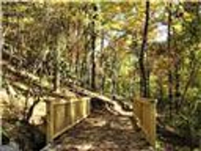 113 Elder Court, Waleska, GA 30183