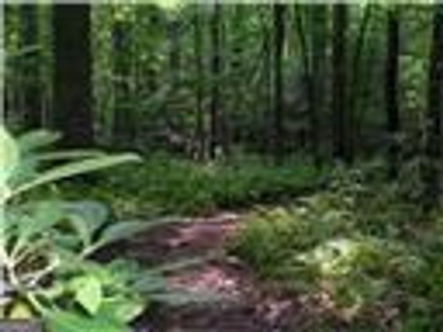 113 Elder Court, Waleska, GA 30183