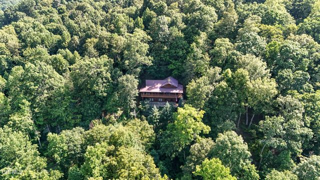 665 Laurels Road, Johnson City, TN 37601