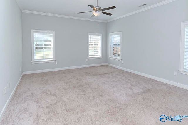 128 Nuckolls Lane, Meridianville, AL 35759