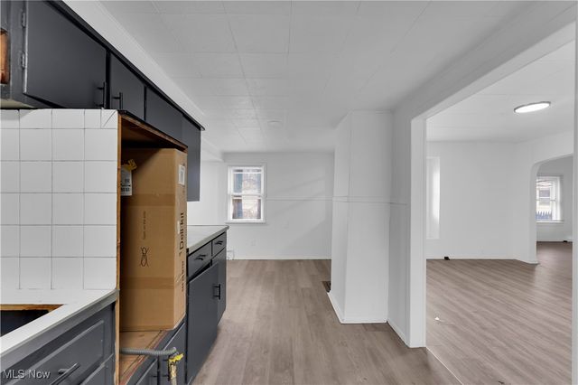 786 E 156th Street Back, Cleveland, OH 44110