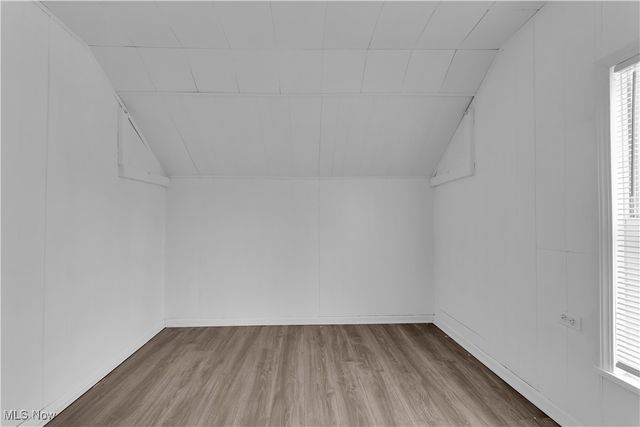 786 E 156th Street Back, Cleveland, OH 44110