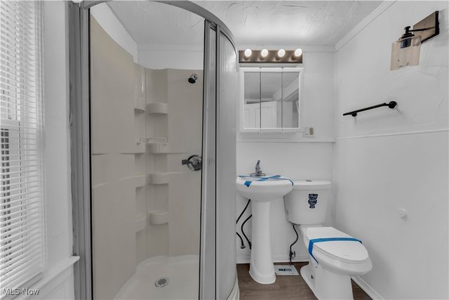 786 E 156th Street Back, Cleveland, OH 44110