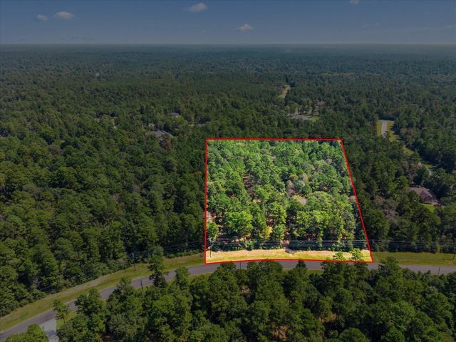 3A-16-3A Grand View, Huntsville, TX 77340