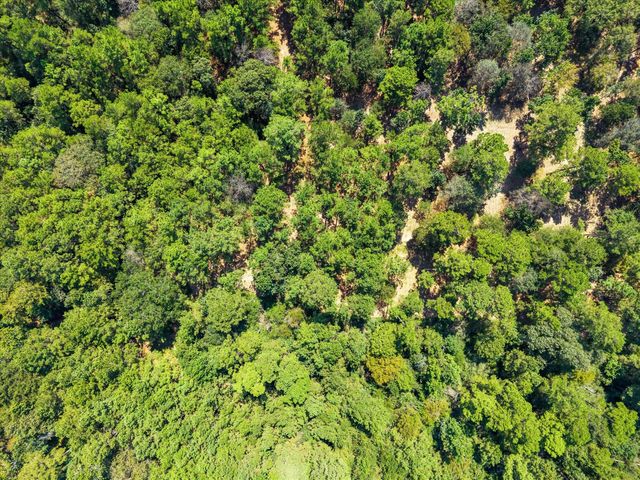 3A-16-3A Grand View, Huntsville, TX 77340