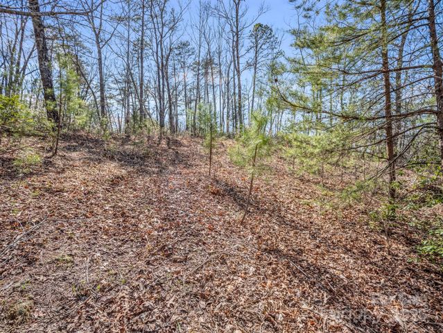 000 Forester Lane 21, 24, & 25, Mill Spring, NC 28756