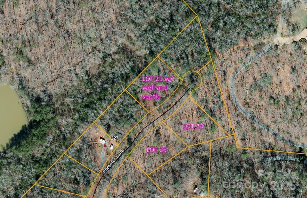 000 Forester Lane 21, 24, & 25, Mill Spring, NC 28756