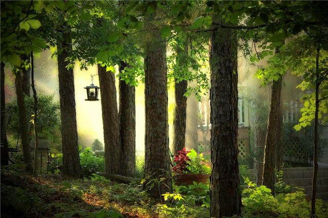 15 Penwith Lane, Bella Vista, AR 72714