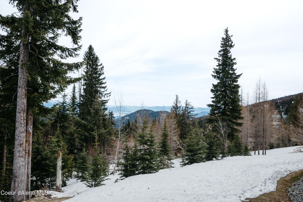 27 The Glades, 2C, Sandpoint, ID 83864 photo 48