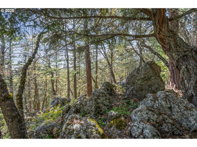 827 TYLER CREEK Rd, Ashland, OR 97520