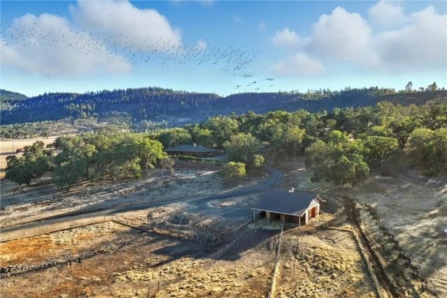 17205 Black Oak Hill, Middletown, CA 95461