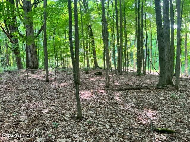 Lot 1 McGregor Road, Johnstown, NY 12078